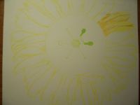 Winter Sunflower